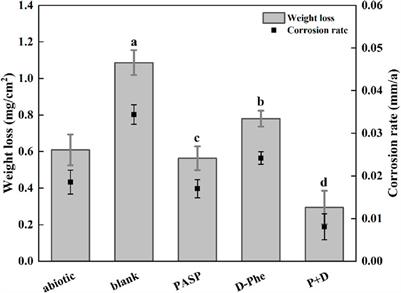 Synergy effect of polyaspartic acid and D-phenylalanine on corrosion inhibition caused by Desulfovibrio vulgaris